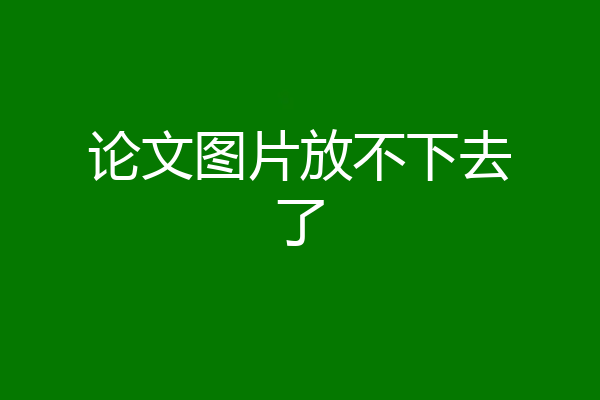 论文图片放不下去了