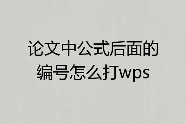 论文中公式后面的编号怎么打wps
