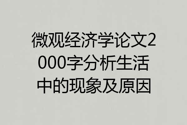 微观经济学论文2000字分析生活中的现象及原因