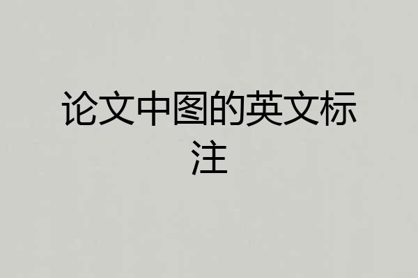 论文中图的英文标注
