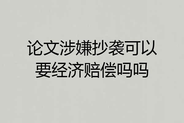 论文涉嫌抄袭可以要经济赔偿吗吗
