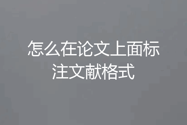 怎么在论文上面标注文献格式