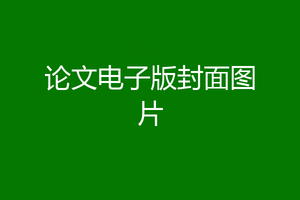 论文电子版封面图片