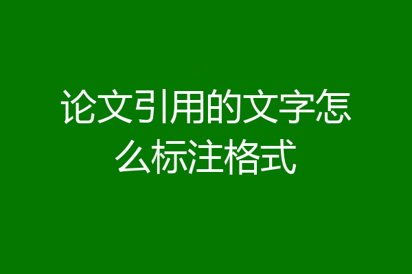 论文引用的文字怎么标注格式