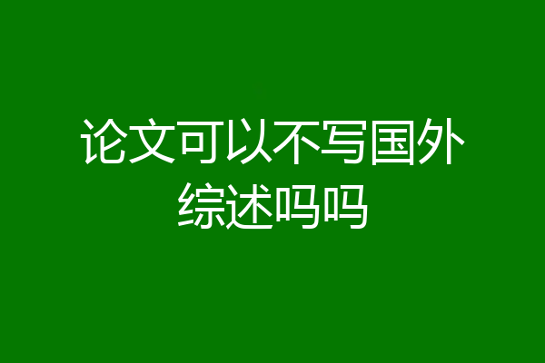 论文可以不写国外综述吗吗