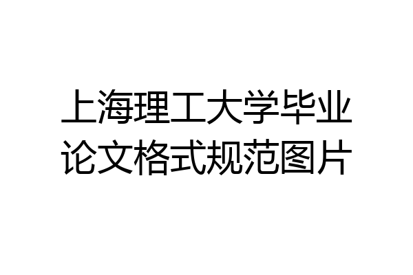 上海理工大学毕业论文格式规范图片