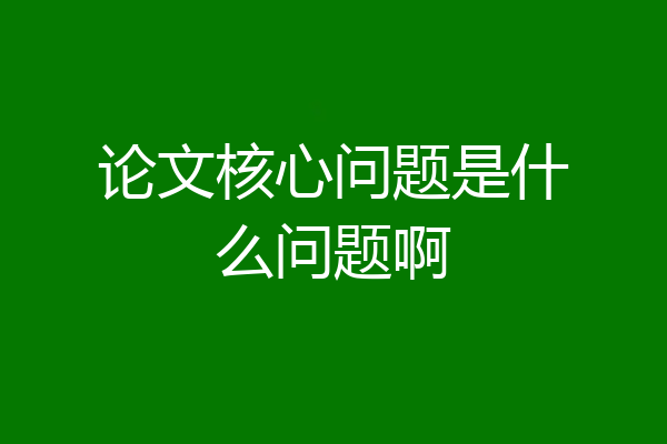 论文核心问题是什么问题啊
