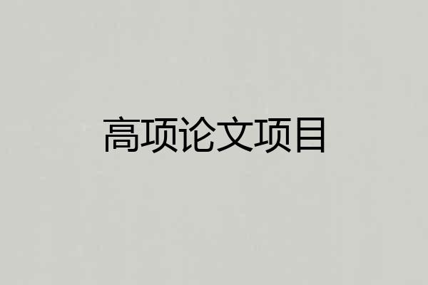 高项论文项目