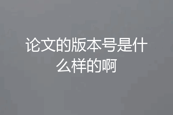 论文的版本号是什么样的啊