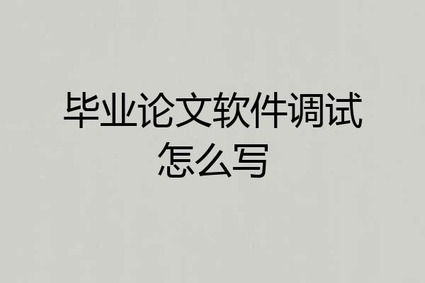 毕业论文软件调试怎么写