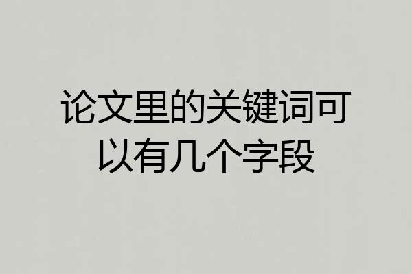 论文里的关键词可以有几个字段