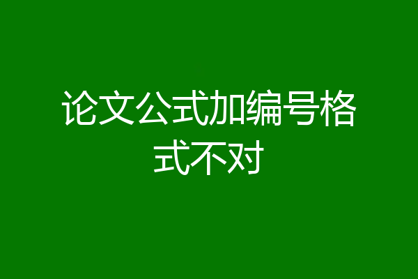 论文公式加编号格式不对