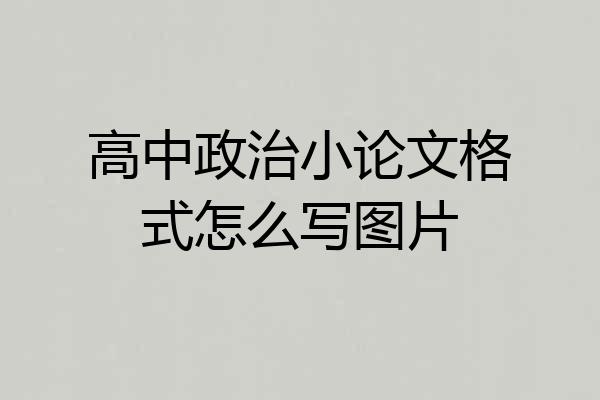 高中政治小论文格式怎么写图片