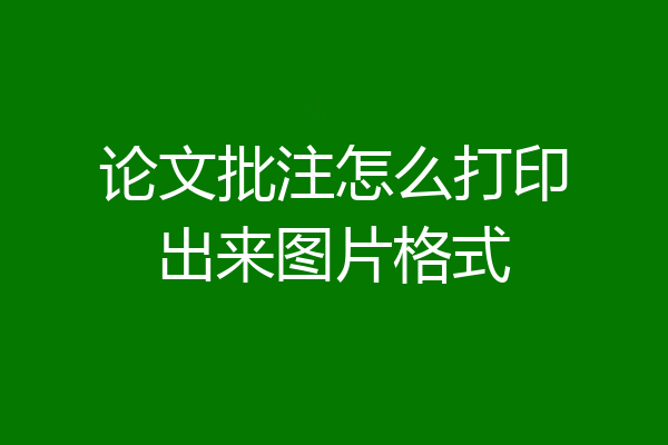 论文批注怎么打印出来图片格式