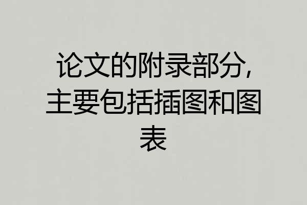 论文的附录部分,主要包括插图和图表