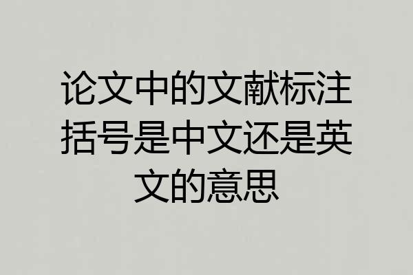 论文中的文献标注括号是中文还是英文的意思