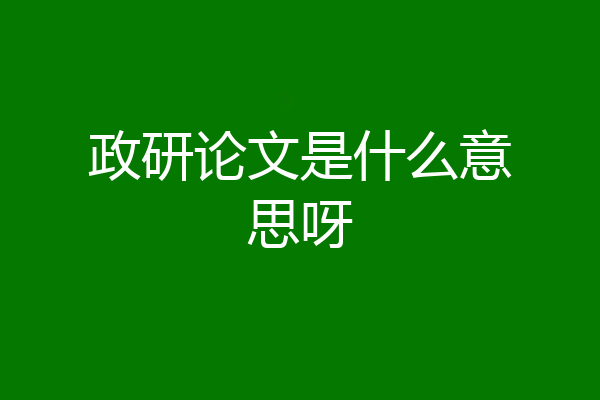 政研论文是什么意思呀