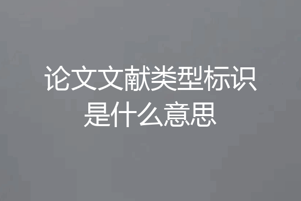 论文文献类型标识是什么意思