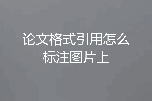 论文格式引用怎么标注图片上