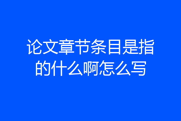 论文章节条目是指的什么啊怎么写