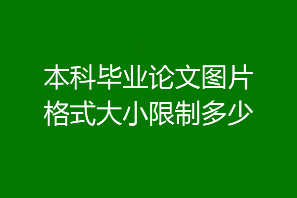 本科毕业论文图片格式大小限制多少
