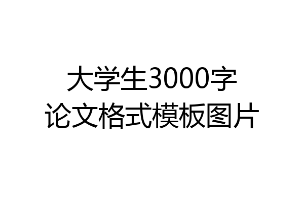 大学生3000字论文格式模板图片