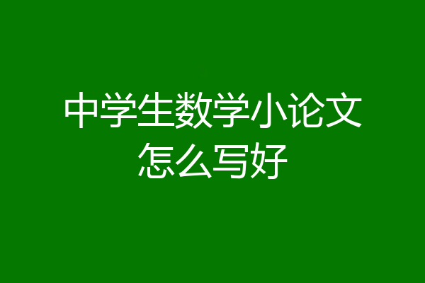 中学生数学小论文怎么写好