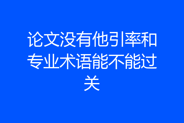 论文没有他引率和专业术语能不能过关