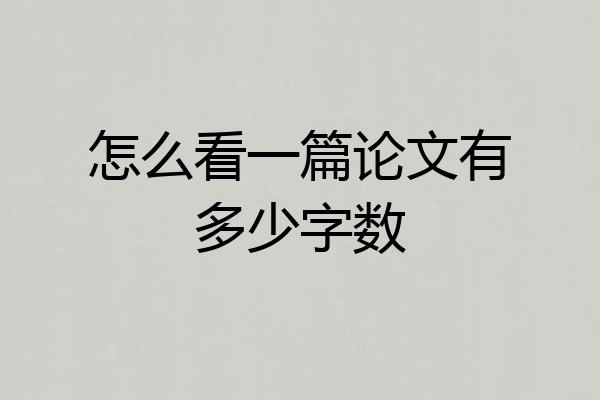 怎么看一篇论文有多少字数