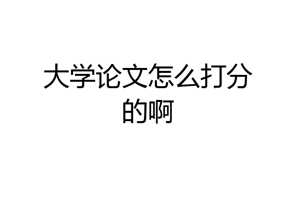 大学论文怎么打分的啊