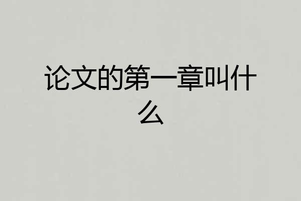论文的第一章叫什么