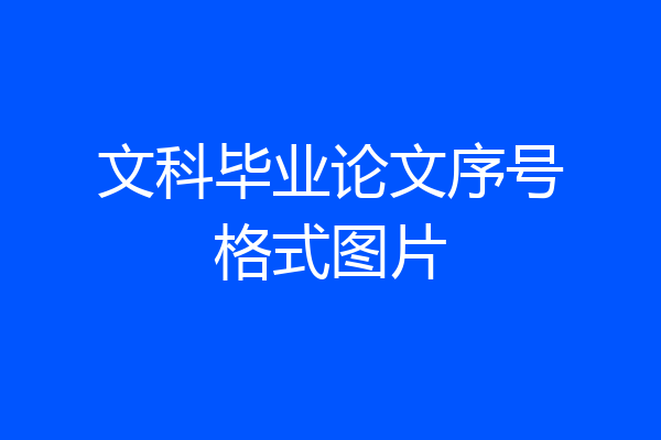 文科毕业论文序号格式图片