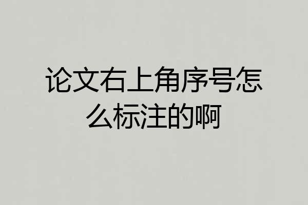 论文右上角序号怎么标注的啊