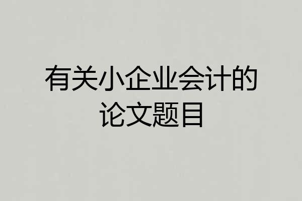 有关小企业会计的论文题目