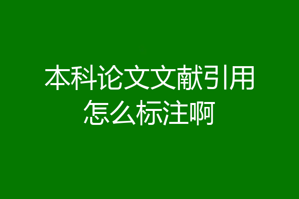 本科论文文献引用怎么标注啊