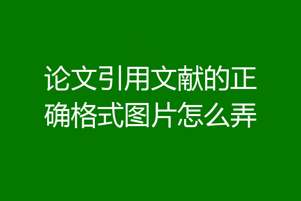 论文引用文献的正确格式图片怎么弄