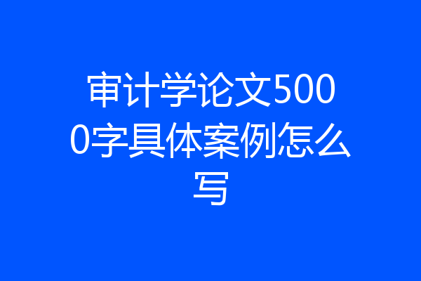 审计学论文5000字具体案例怎么写