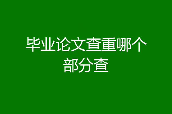 毕业论文查重哪个部分查