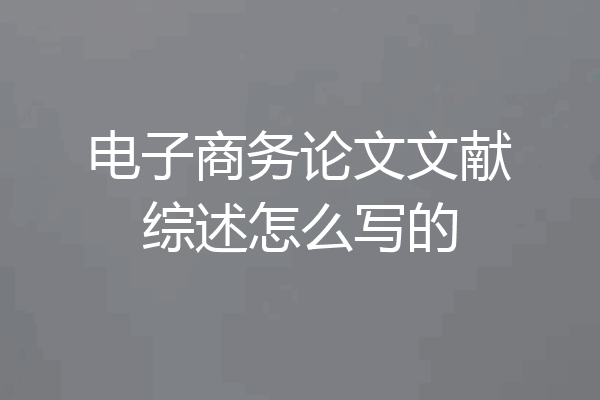 电子商务论文文献综述怎么写的