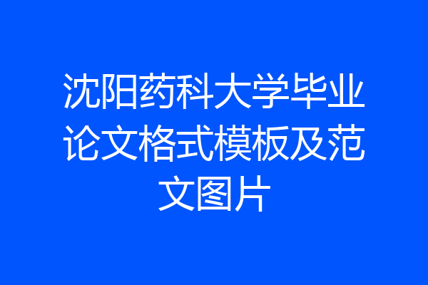 沈阳药科大学毕业论文格式模板及范文图片