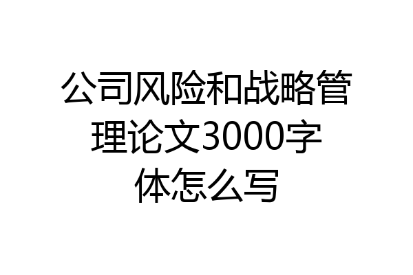 公司风险和战略管理论文3000字体怎么写