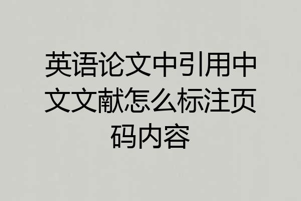 英语论文中引用中文文献怎么标注页码内容