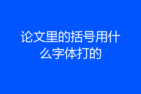 论文里的括号用什么字体打的