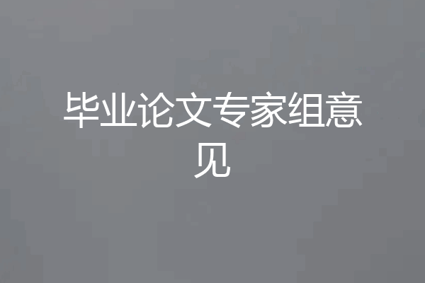 毕业论文专家组意见