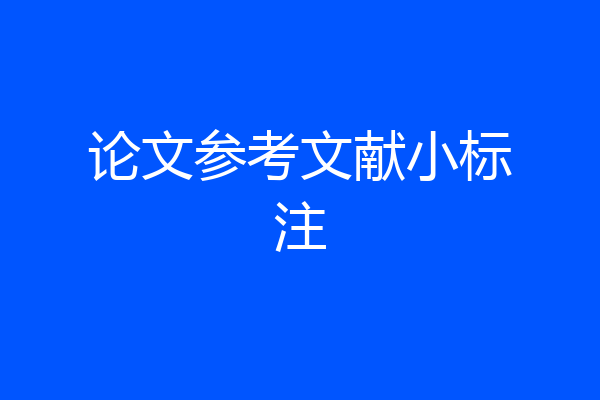 论文参考文献小标注