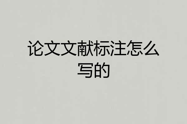 论文文献标注怎么写的