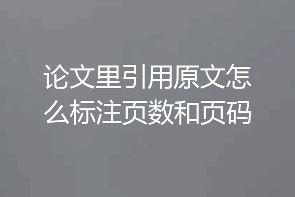 论文里引用原文怎么标注页数和页码