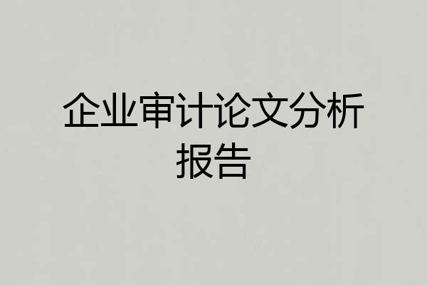 企业审计论文分析报告