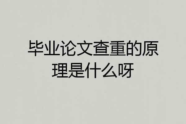 毕业论文查重的原理是什么呀