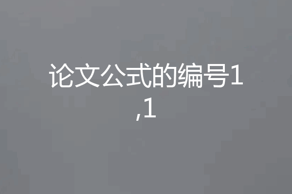 论文公式的编号1,1